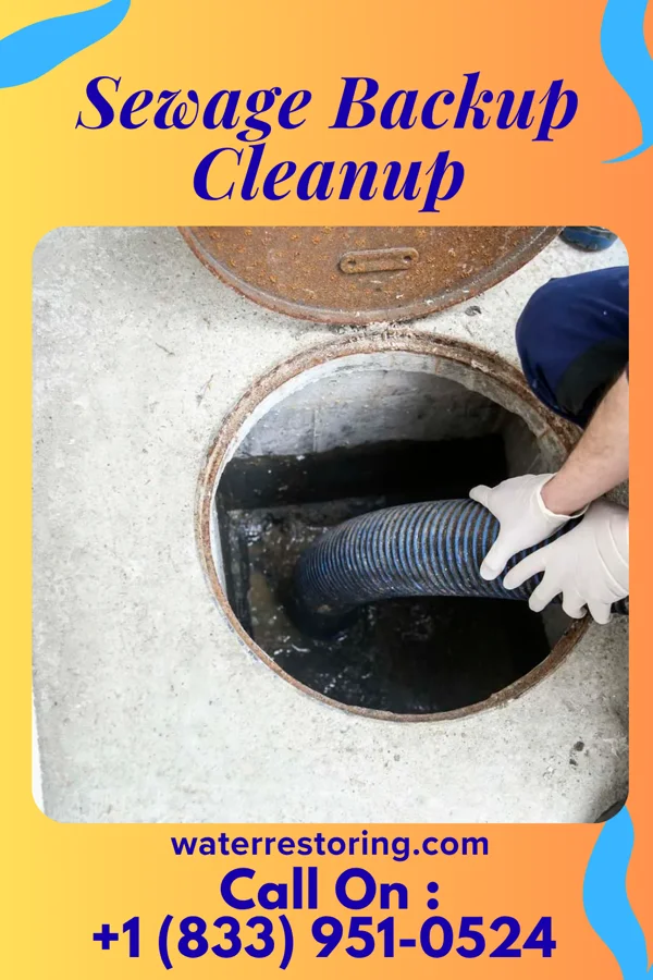 Sewage Backup Cleanup in Burrton, KS